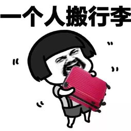 我在法国1年的留学经历附行李准备注意事项等