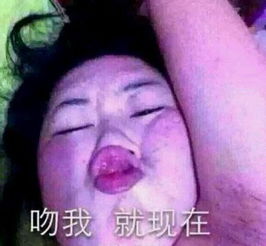洋葱新闻你想要的女孩