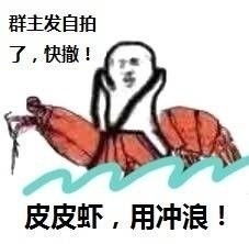 皮皮虾我们走是什么梗