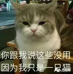 幽默表情包聊天微信可以吗