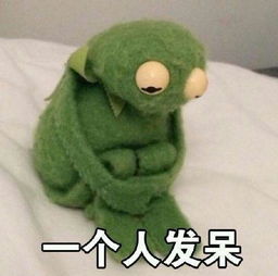 脸越来越圆,人越来越寂寞你浪费了单身时光,活该