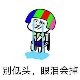 海量表情包仓库持续更新中