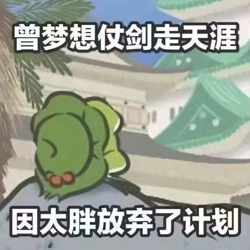 招新进行时学生就业指导中心学生助理招新啦