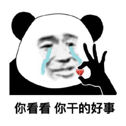 表情包你不会一直单身的