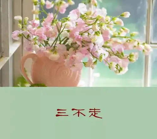人到中年,不喝3酒,不比3物,不走3亲