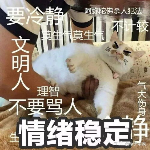 学习委员的哪些事情大学后才知道