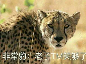 广东高考竟考怎么烹饪福建人,我是不是该躲一阵了