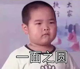 谢拉露妮丝表情包争执