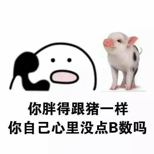 漫谈图图寒假计划