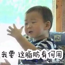 办办说天气丨囤积了一个夏天的膘,这时候就不管用了...
