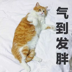 胖是工伤广州十大最容易发胖职业