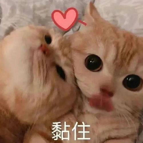 可爱表情包女孩李焕英