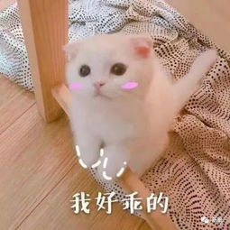全智贤是倒着活了20年吗和秀智撞衫把晚辈碾压得渣都不剩