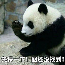 早报超有料丨刘亦菲花木兰剧照曝光包贝尔女装造型上线