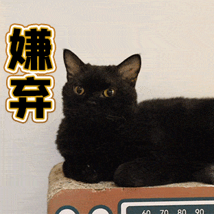 对不起我一口气吃了6只猫