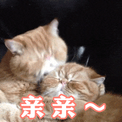 扑上去亲亲的表情包扑上去就是一顿么么哒,情侣常用图
