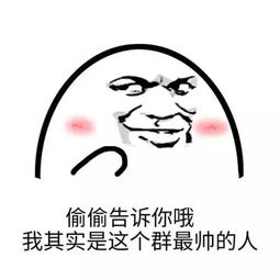 群聊必备表情包这可能是个假群,一个勾引我的人都没有