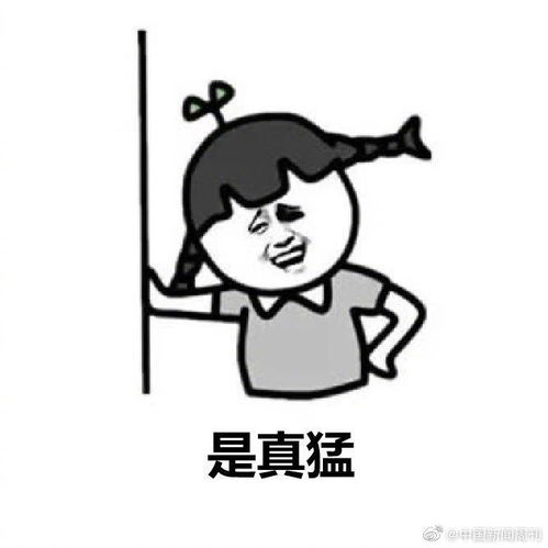 元气森林新公司叫老猛了,网友奇怪的公司名又增加了