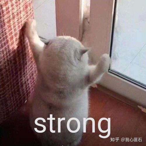 张伟小龙虾表情包打屁股
