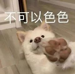 表情包杂七杂八实用斗图系列