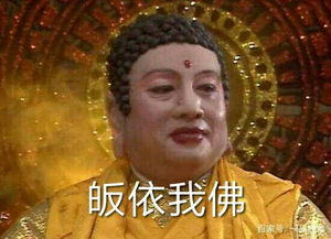 收藏