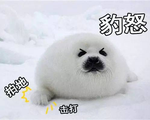 大丰下雪了雪地表情包来一波