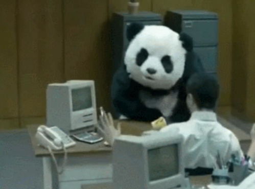 哈哈哈为什么中国网民们最熟悉的表情包会是一只沙雕熊猫