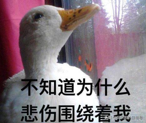 蔡徐坤下蛋表情包表情