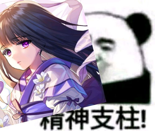 哔哩哔哩专栏