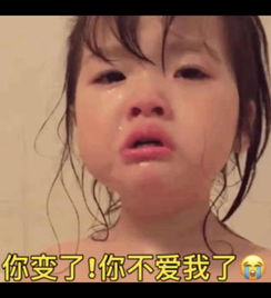 超火情话表情包不想再撞南墙了,想撞进先生的胸膛