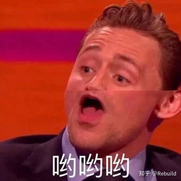 有没什么特别可爱的表情包分享呀
