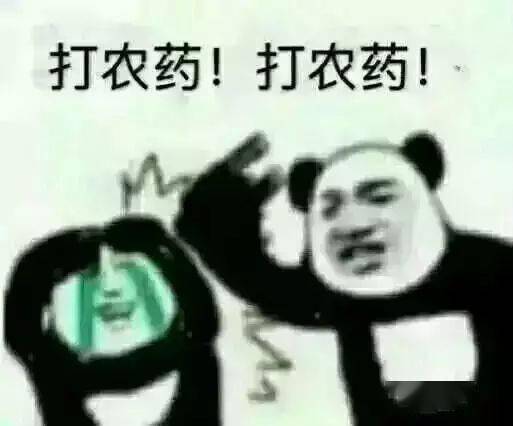 王者荣耀熊猫头系列表情包
