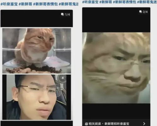抖音不缺神话,网红被破天流量砸中,涨粉1700万,真让人羡慕啊