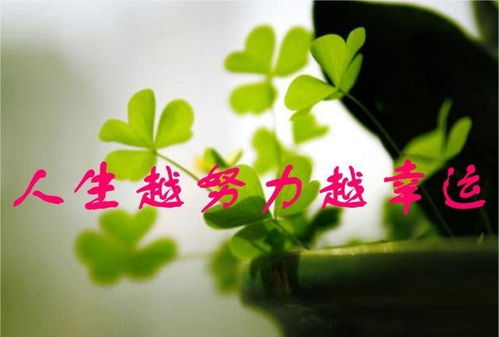 农村老人常说男占三八是秀才,女占三八必寡啥意思说的对吗