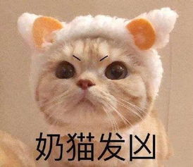 鸡就该呆在鸡窝