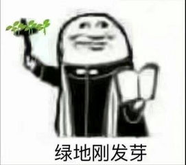 这两对情侣皮肤好看吗为什么理由