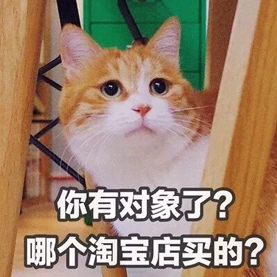 说不过你,但喜欢你