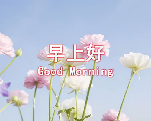 早安问候语动态表情图片清晨祝福朋友一天好心情