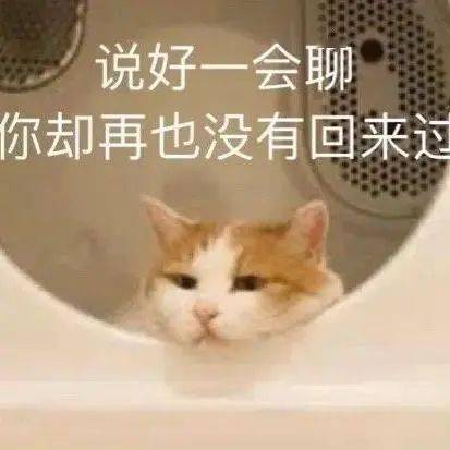 老板给钱老板给钱老板给钱丨第307期喵表情包