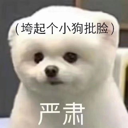 快乐追剧