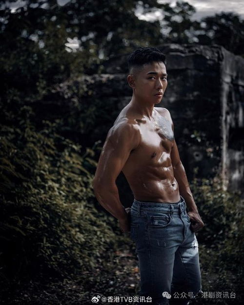 tvb真人秀我推的野男live爆肌男人是否会成当家小生