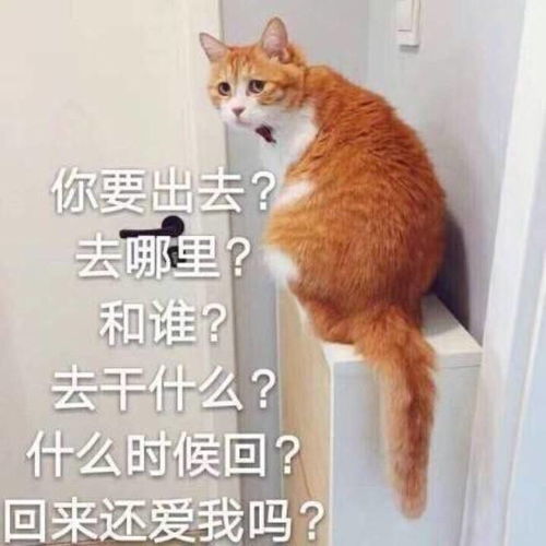 笑话十条我望着屋里正在泡脚的婆婆,我呛得眼泪哗哗的流啊