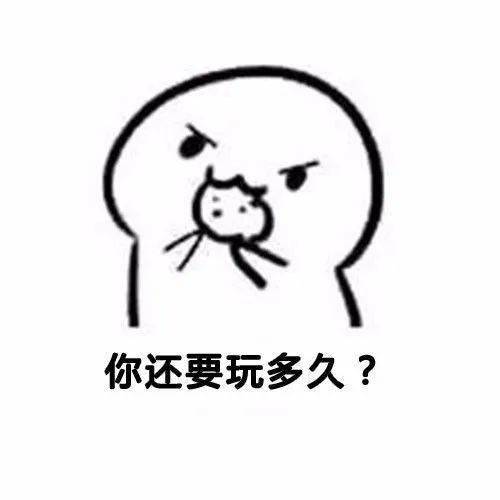 教招备考血泪史快来看看,这是不是你