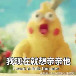 鸡年拜年祝福,看这篇就够了