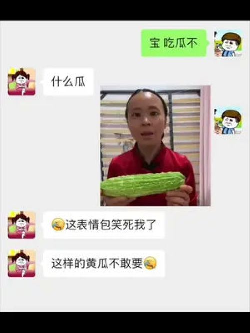 套路男朋友的表情包看书的那个情侣聊天