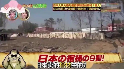 网络热点曹县为啥这么火别问,问就是宇宙中心