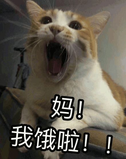 这个暑假你被爸妈嫌弃了吗你需要一套自救指南