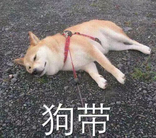 深圳坂田火灾系谣言交通广播没有错
