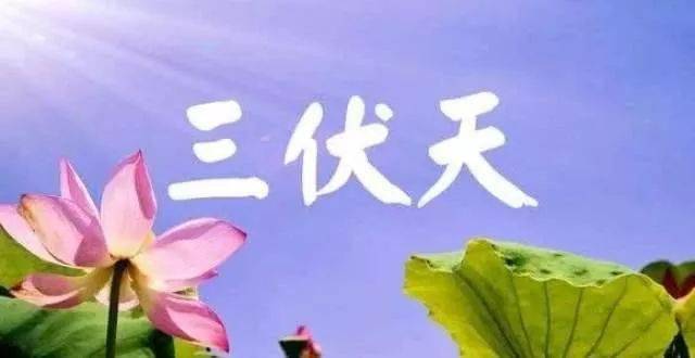 7月11日最漂亮入伏动态表情图片大全,三伏天动图美图大全