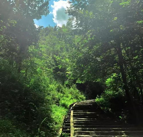 盘点重阳节适合爸妈的旅行地,十一之后人少景美正好出发